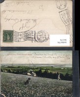 361176,Canada Prince Edward Island Pownall Bay Blumenwiese Landschaft - Other & Unclassified