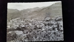 Delcampe - CPSM , D06 Sospel - Sospel
