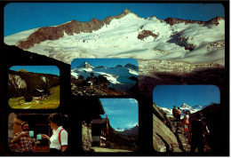 Neukirchen / Oberpinzgau  -  Berndlalm  -  Postalm  -  Seebachsee  -  Ansichtskarte Ca. 1980   (5900) - Neukirchen Am Grossvenediger