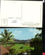 399012,Fidschi Fiji Penang Valley Landschaft Palme - Autres & Non Classés