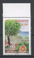 MAYOTTE 2011  N° 252 **  Neuf = MNH Superbe Orangers De L'îlot De Mtzamboro Arbres Trees - Nuevos