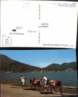 412305,Haiti Harbor Of The City Of Cap-Haitien Volkstypen Eseln - Andere & Zonder Classificatie