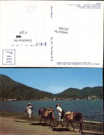 412303,Haiti Harbor Of The City Of Cap-Haitien Volkstypen Eseln - Other & Unclassified