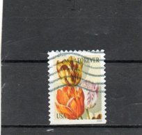 ETATS-UNIS   Forever  2016  Bas  Non Dentelé    Oblitéré - Used Stamps