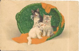 CPA COLORISEE FANTAISIE  -  Trois Adorables Chatons Dans Un Panier En Osier  - ENCH0616 - - Gekleidete Tiere