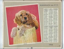 Calendrier Almanach Des P.T.T De 1966 Photos Pose D'un Châton Et  Surprise D'un Chiot Cocker - Incomplet Les Cartes - Tamaño Grande : 1961-70