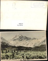 433006,New Zealand Neuseeland Mount Cook Aoraki Bergkulisse - Altri & Non Classificati