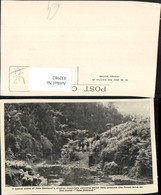 432982,New Zealand Neuseeland Crystal Mountain Streams Fluss Schafe - Andere & Zonder Classificatie