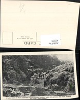 432999,New Zealand Neuseeland Crystal Mountain Streams Fluss Schafe - Other & Unclassified