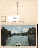 441915,Manitoba Winnipeg City Park Pond Teich Schwan - Altri & Non Classificati