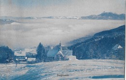 HERGISWALD → Winteraufnahme Vom Kurhaus Hergiswald (Gesch. Portmann) 1913 ►privater Stempel◄ - Autres & Non Classés