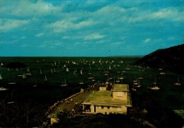 GUADELOUPE..ST-BARTHELEMY..ST-BARTH REGATTA 1981....CPM - Saint Barthelemy