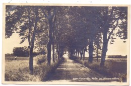 CH 1588 CUDREFIN VD, Allee Du Debarcadere, 1933 - Cudrefin