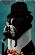 Thiele, Arthur Hund Personifiziert Künstlerkarte 1908 I-II (Ecke Abgestossen, Eckbug) Chien - Thiele, Arthur