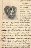 Handgemalt Sign. Wagner, G. Hund Ganzsache Künstlerkarte I-II Peint à La Main Chien - Ohne Zuordnung