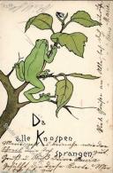 Frosch Fliege  Lithographie 1904 I-II Grenouille - Ohne Zuordnung