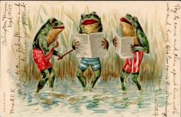 Frosch Personifiziert Lithographie 1907 I-II Grenouille - Unclassified