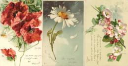 Blumen Album Mit Circa 110 Ansichtskarten Teils Geprägt Und Gestickt Dabei Auch Sign. Klein, C. I-II - Unclassified