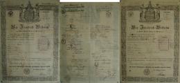 Politik Geschichte Reisepass Lot Mit 2 Dokumenten Von 1857 U. 1858 Friedrich Wilhelm König Von Preusssen II (alters - Andere & Zonder Classificatie
