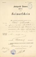 Politik Königreich Bayern Pfalz Heimatschein 1889 I-II - Other & Unclassified