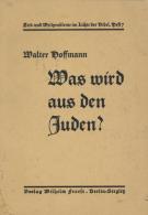 Judaika Buch Was Wird Aus Den Juden Hoffmann, Walter 23 Seiten II Judaisme - Jodendom