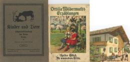 Kinderbuch Lot Mit über 40 Bücher Und Hefte Unterschiedliche Erhaltung II - Speelgoed & Spelen
