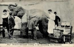 Zirkus Sarrasani Elefant In Behandlung I-II - Circo