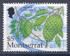 150025531  MONTSERRAT  YVERT    Nº  1062 - Montserrat