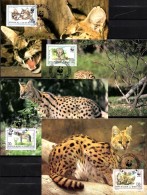 Raubkatzen Naturschutz 1992 WWF-Set 133 Burundi 1758/1 MKt. 26€ Serval Dokumentation Fauna Wildlife Cats Cards Of Africa - Usati