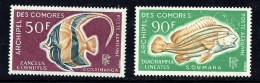 1968  Poissons    Poste Aérienne  PA 23-4   **  MNH - Unused Stamps