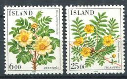 168 ISLANDE 1984 - Yvert 565/66 - Fleur - Neuf ** (MNH) Sans Trace De Charniere - Unused Stamps