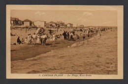 DF / 34  HERAULT / MAUGUIO-CARNON / CARNON-PLAGE / LA PLAGE RIVE DROITE / ANIMÉE - Mauguio