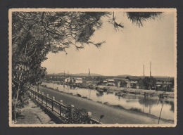 DF / 34  HERAULT / MAUGUIO-CARNON / CARNON-PLAGE / LE BOSQUET DU JARDIN - Mauguio