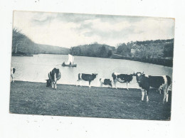 Cp , Agriculture , élevage , La Bretagne Artistique , Forêt De Paimpont , L'étang Des Forges , 35 , Vierge , Ed : Waron - Elevage