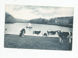 Cp , Agriculture , élevage , La Bretagne Artistique , Forêt De Paimpont , L'étang Des Forges , 35 , Vierge , Ed : Waron - Breeding