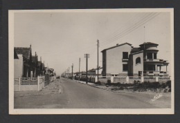 DF / 34  HERAULT / MAUGUIO-CARNON / CARNON-PLAGE / L'AVENUE ET LA FOURMILLIÈRE - Mauguio