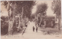 Cpa,afrique Du Nord,Algérie,nord D´alger,BLIDA, Avenue BIZOT En 1900,belle Avenue Animée ,pleins D´arbres,rare - Blida