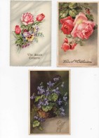 Carte Postale Vive Ste Catherine Fleurs Roses Pensées Violettes (3 Cartes) - Santa Catalina