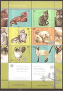 ARGENTINE 2005  (Yvert 2532 37) Chats - Neuf ** (MNH) Sans Trace De Charnière - 005 - Ungebraucht