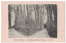 Sarthe 72 - LA FRESNAYE Sur CHEDOUET Et Le Chateau De MONTIGNY La Futaie Vue Sur Les Chemins Dans La Foret - La Fresnaye Sur Chédouet