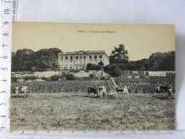 78 - LIMAY - Chateau Des Célestins - Limay