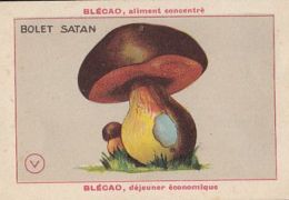 45688- MUSHROOMS - Funghi