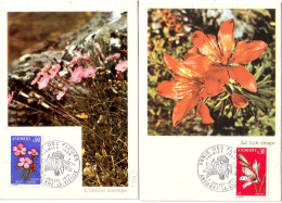 ANDORRE - 2 CARTES MAXIMUM THEME FLEURS EN 1973. - Cartas & Documentos