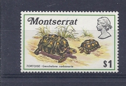 150025573  MONTSERRAT  YVERT    Nº    281  **/MNH - Montserrat