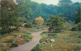 The NEW YORK BOTANICAL GARDEN - Thompson Memorial Rock Garden - Bronx Park - Parcs & Jardins