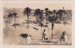 AFRIQUE,AFRICA,AFRIKA,ALGERIE  Française,ALGERIA,COLOMB BECHAR,sahara,frontière Marocaine,maroc,1952,dune S,plantation - Bechar (Colomb Béchar)