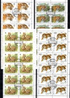 Cats Panthera Tigris Sibirische Tiger 1993 Russland 343/6,VB+12-Bl.o 24€ Naturschutz Bloque Wildlife Sheetlets Ms Russia - Verzamelingen