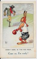 CPA Carte Ancienne Lapin Bunny Rabbit Fantaisie Non Circulé Position Humaine Boxe Par MICH - Otros & Sin Clasificación