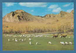 215183 / BOGDYN GOL RIVER , ZABHAN AIMAK , ANIMAL CAMEL SHEEP , Mongolia Mongolei Mongolie - Mongolia