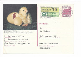 ATM Klussendorf Uprated Postcard - 2 January 1987 Stuttgart 9 - Wilhelma ZOO Bird Chick Küken Poussin - Geïllustreerde Postkaarten - Gebruikt